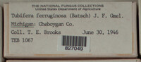 Image Associated With the Occurence